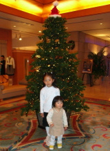 20061119-1s.jpg