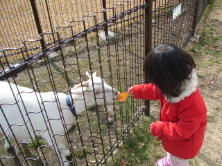 20071213-3.jpg