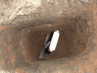 20070504-1.jpg