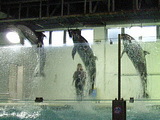 20061217-3.jpg