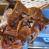 20060929-2.jpg