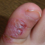 20070116-1.jpg