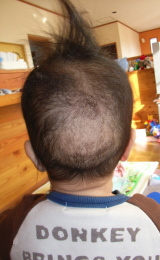 20061213-1s.jpg
