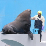 20061217-1.jpg