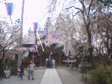 20060423.jpg