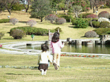 20061121-2.gif