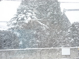 20070106-1.jpg