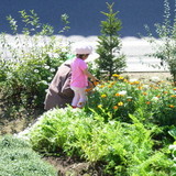 20061016-2.jpg