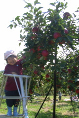 20071022-2s.jpg