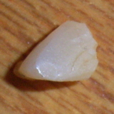 20061028-5s.jpg