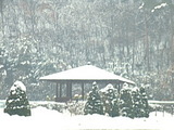 20060119-1.jpg