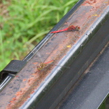 20061009-2.jpg