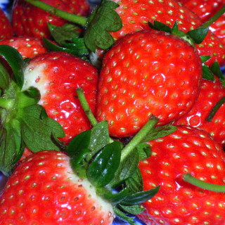 20070123-1.jpg