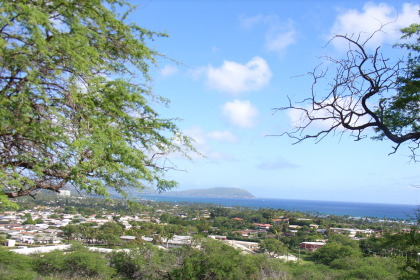 20080110-1.jpg