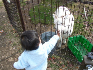 20071213-2.jpg