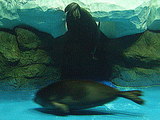 20061217-5.jpg