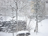 20070106-2.jpg