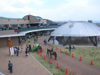 20070506-3.jpg