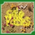 Illuminated Manuscript / Cale Parks