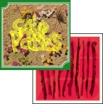 Illuminated Manuscript / Cale Parks