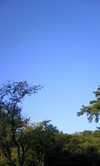 ae767126.jpg