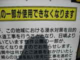 979ee553.JPG