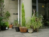 a080960a.JPG