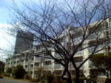 NEC_1814.jpg