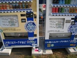 �ٱ緿��ư���䵡