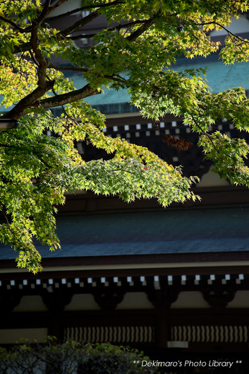 kamakura3955