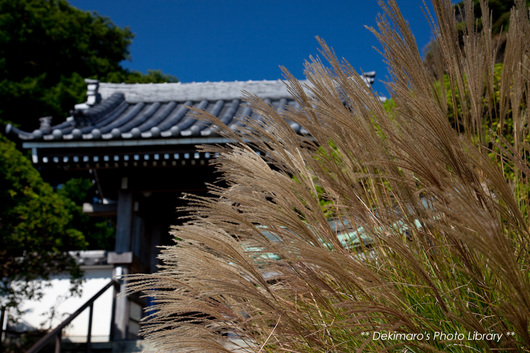 kamakura3932