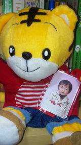 76ed0067.jpg