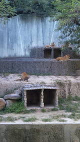 d7aed604.jpg