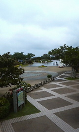 ece8d733.jpg