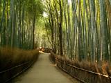 051113-kyoto03