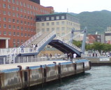 81bca5b7.jpg