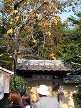 051113-kyoto07