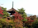 051113-kyoto05