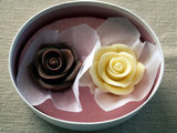 051124-choco02