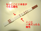 BlogPaint