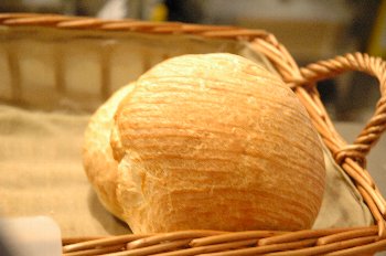 青葉台 イタリアン グラウンド7