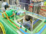 �ȡ��ޥ��Ȥ��ɤ⤿��