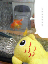 興味しんしん
