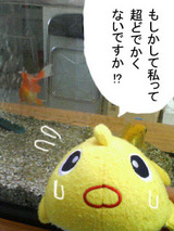 どんまい