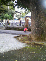 拾いまくる