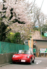 93d408d2.jpg