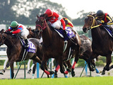 ���ھޣ�������