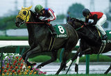 マーメイドS2008