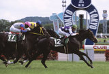 ���ץ����