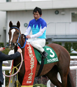 アドマイヤキッス2008